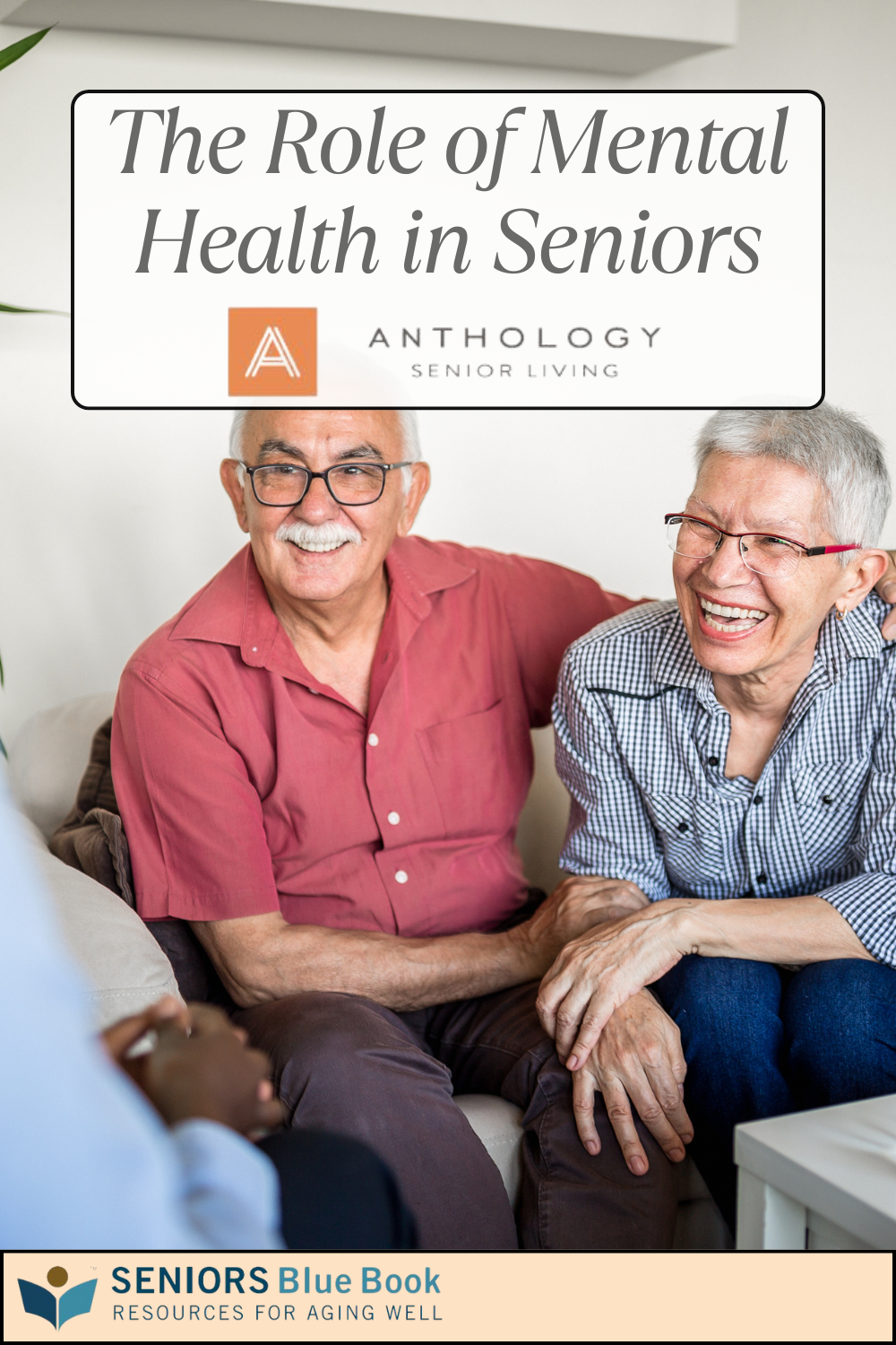 The Role of Mental Health in Seniors | Seniors Blue Book