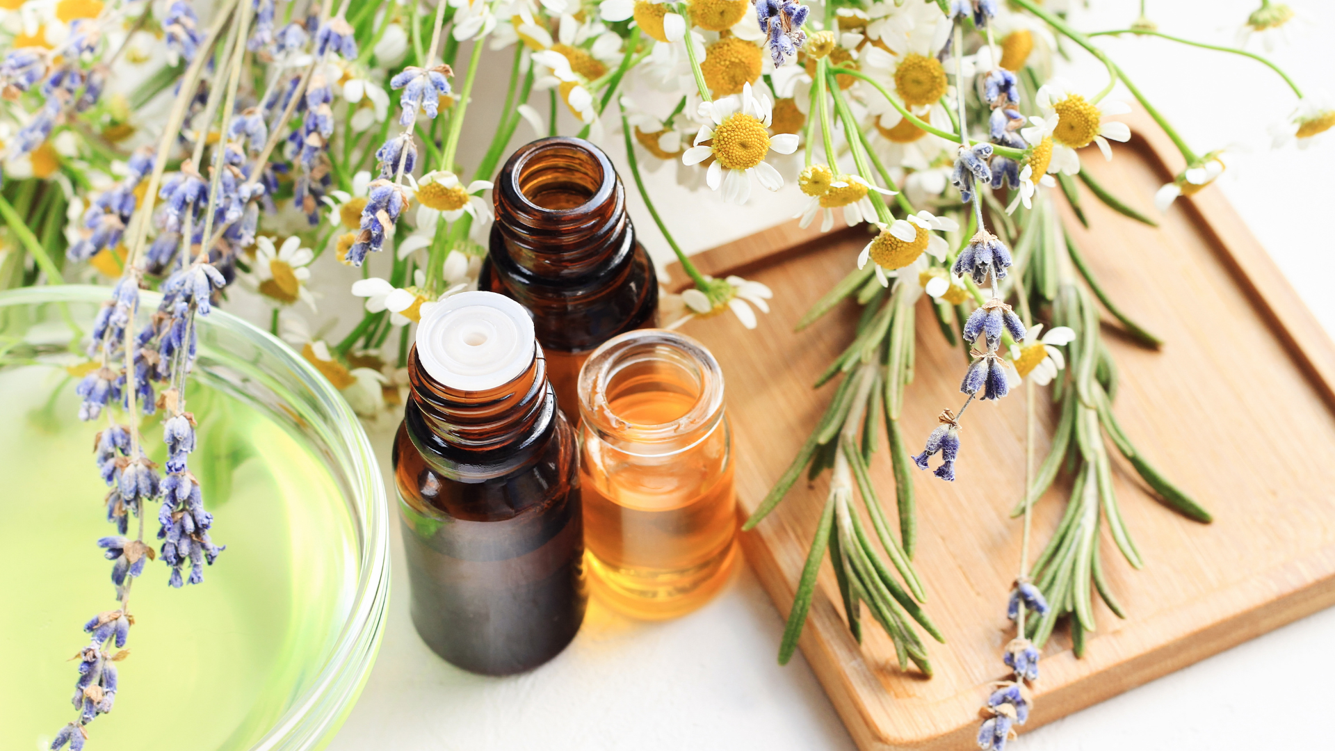 Scents For The Senses Aromatherapy in Holistic Healing