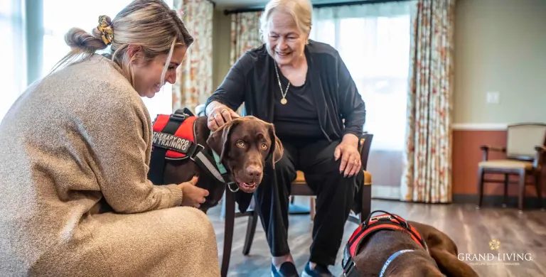 The PAWsitive Power of Pet Therapy