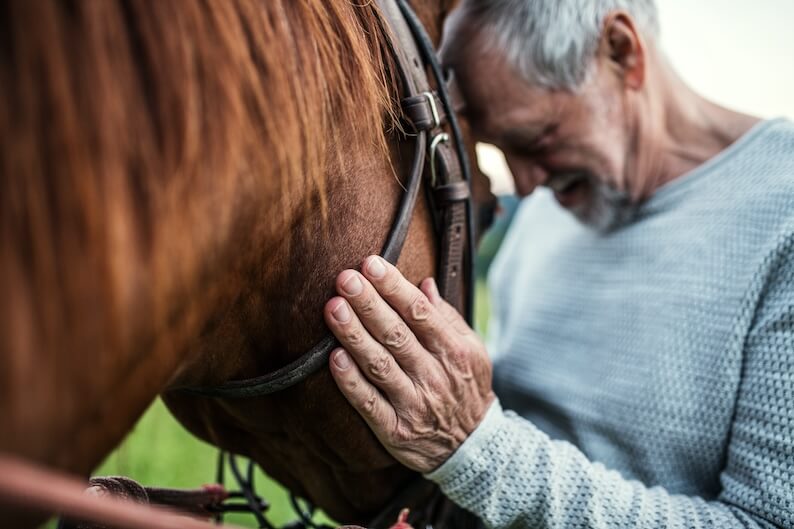 Equine Therapy: A Path To Improved Health For Older Adults