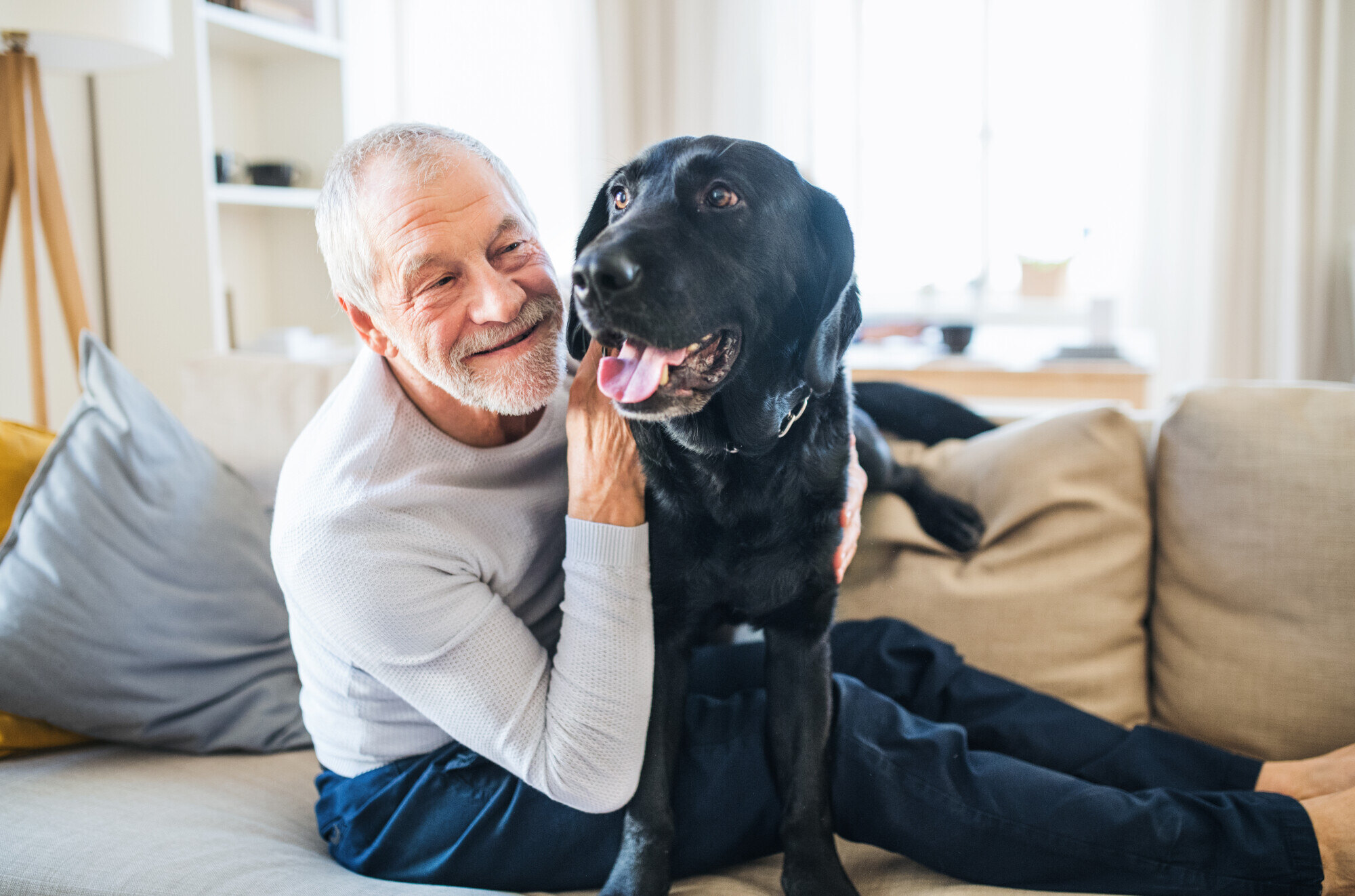 8 Best Pet-Friendly Senior Living Amenities to Consider Written By: Discovery Senior Living