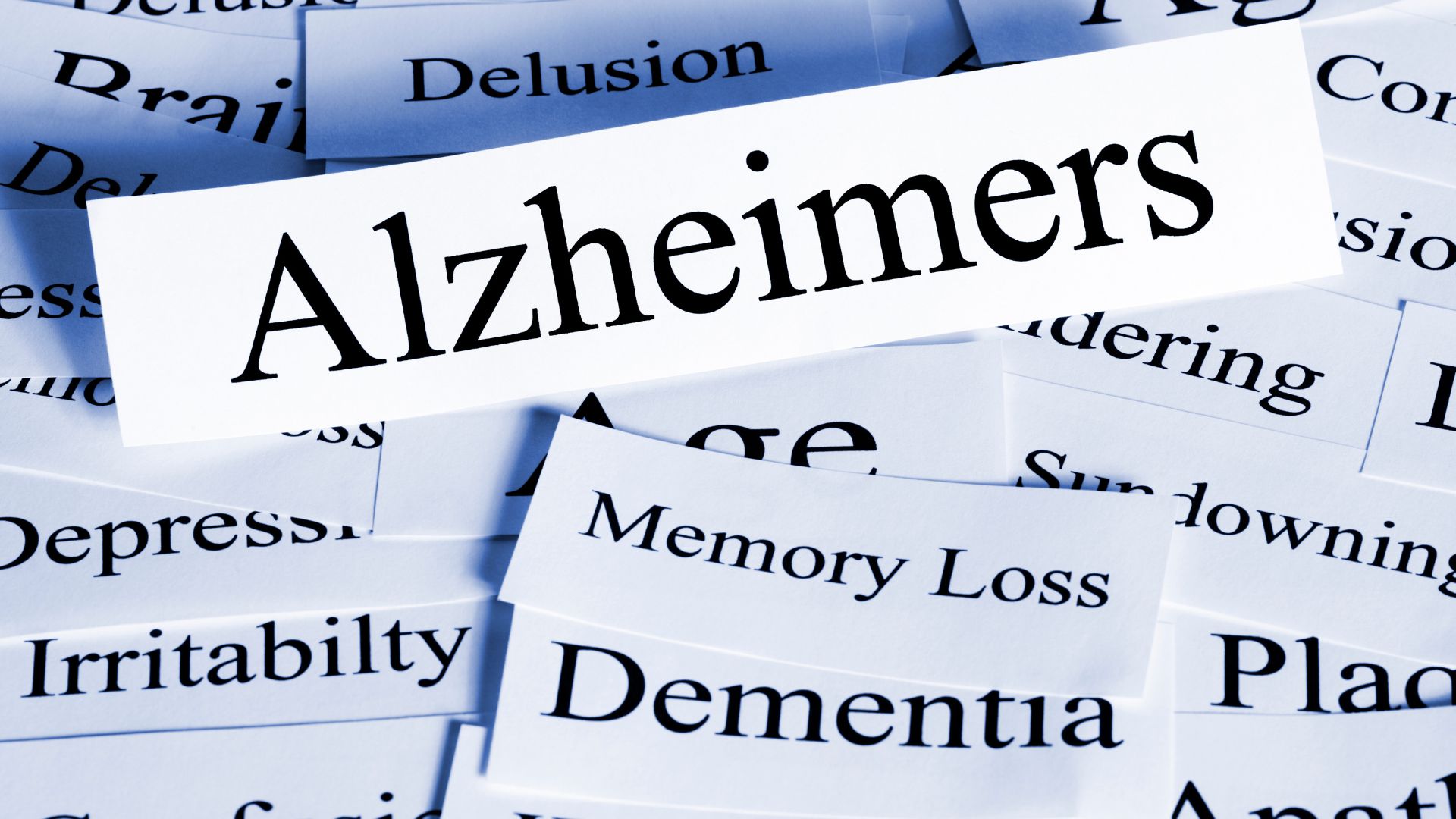 Understanding the Differences: Alzheimer’s vs. Dementia