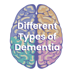 The Three Most Common Types of Dementia