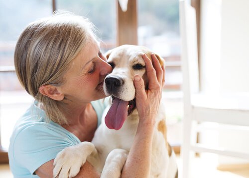 Do Therapy Dogs Help Alzheimer's Patients?