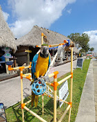 Nauti Parrot Tiki Hut_5