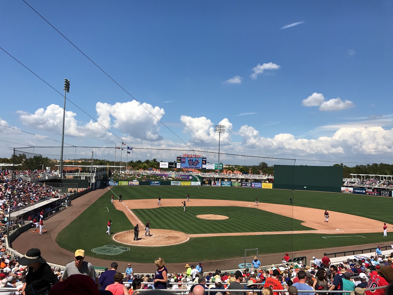 Minnesota Twins Baseball