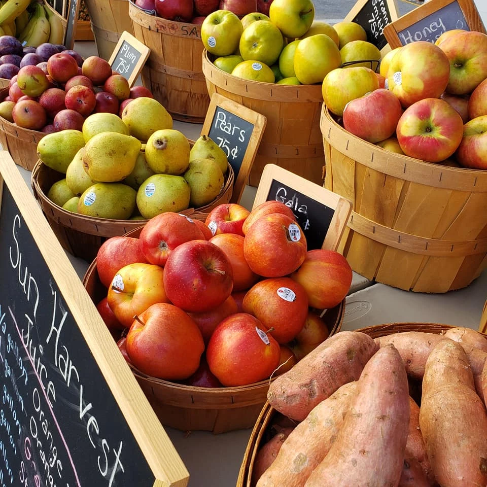 Fort Myers Beach Market_0