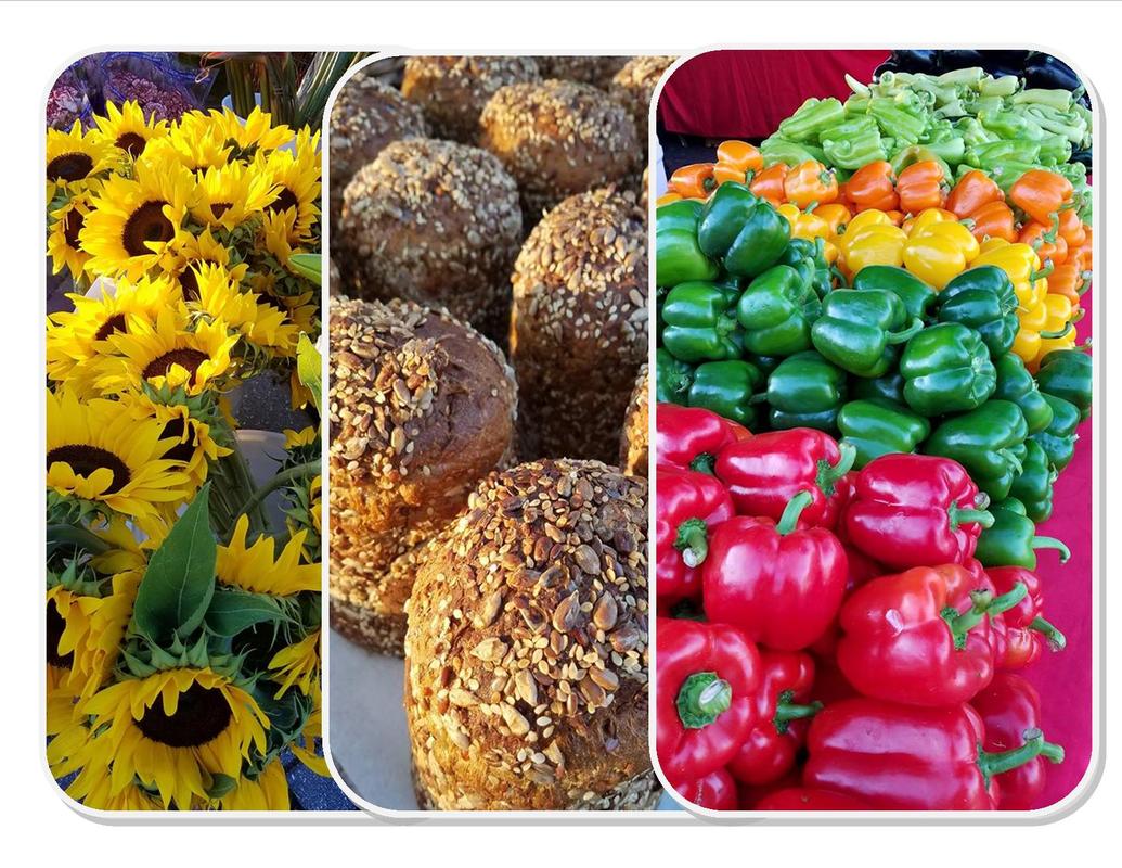 Vanderbilt Farmers Market_0