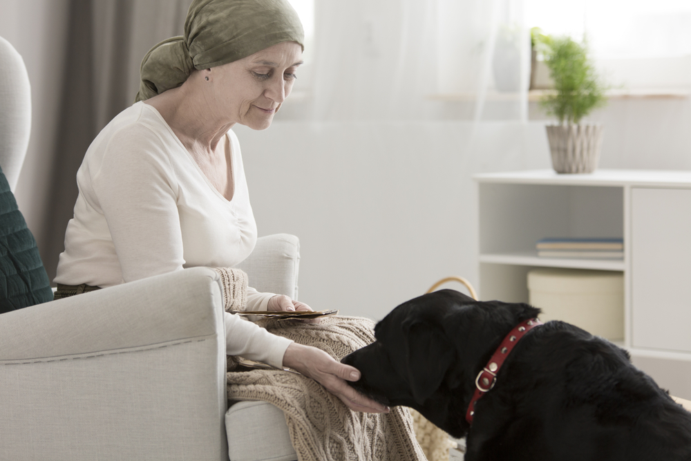 How to Get a Therapy Pet to Visit a Loved One at Home