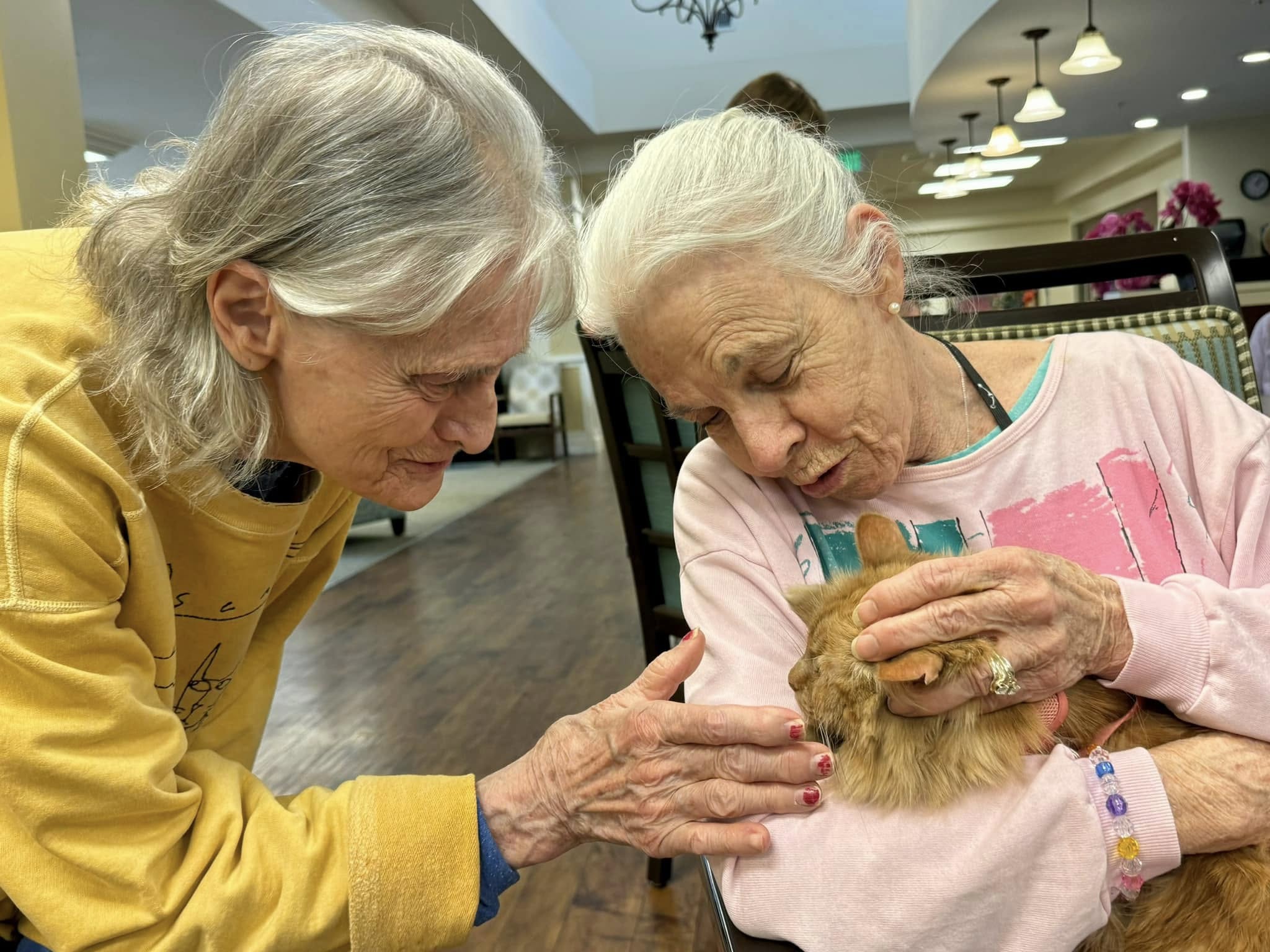 Anthem Memory  Care - Willowbrook Place Memory Care_6