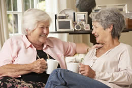 Seniors Helping Seniors - West Metro_3