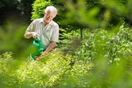 Seniors Helping Seniors - West Metro_4