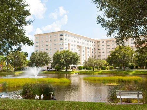 Jacaranda Trace