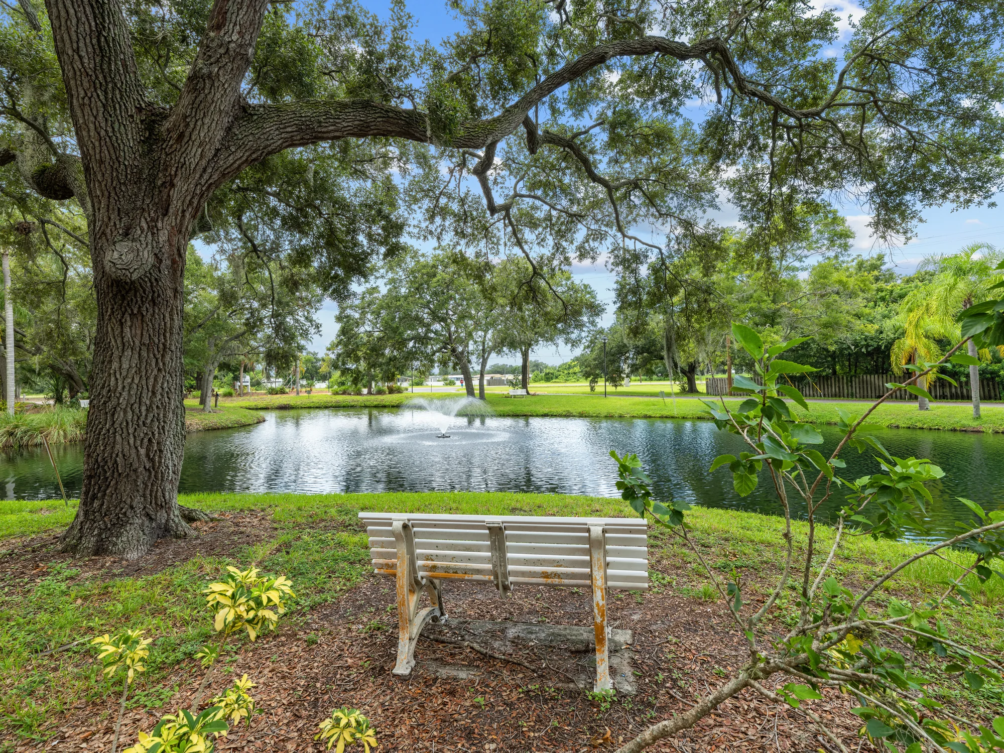 Woodlands Village_7