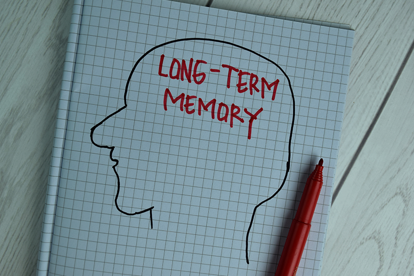 Short Term Memory Loss In Your Loved Ones: 5 Things You Should Know