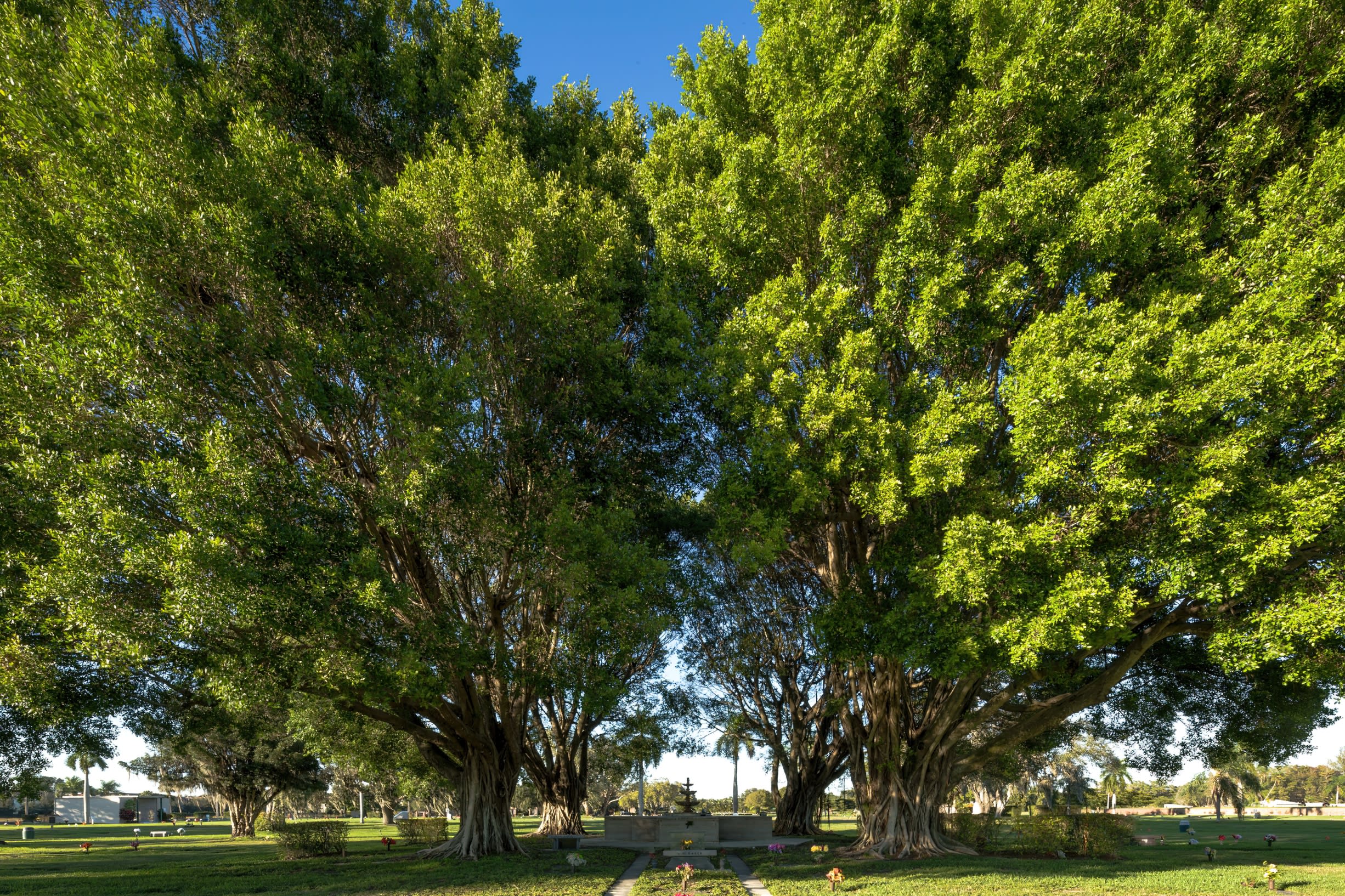 Fort Myers Memorial Gardens Funeral Home & Cemetery_2