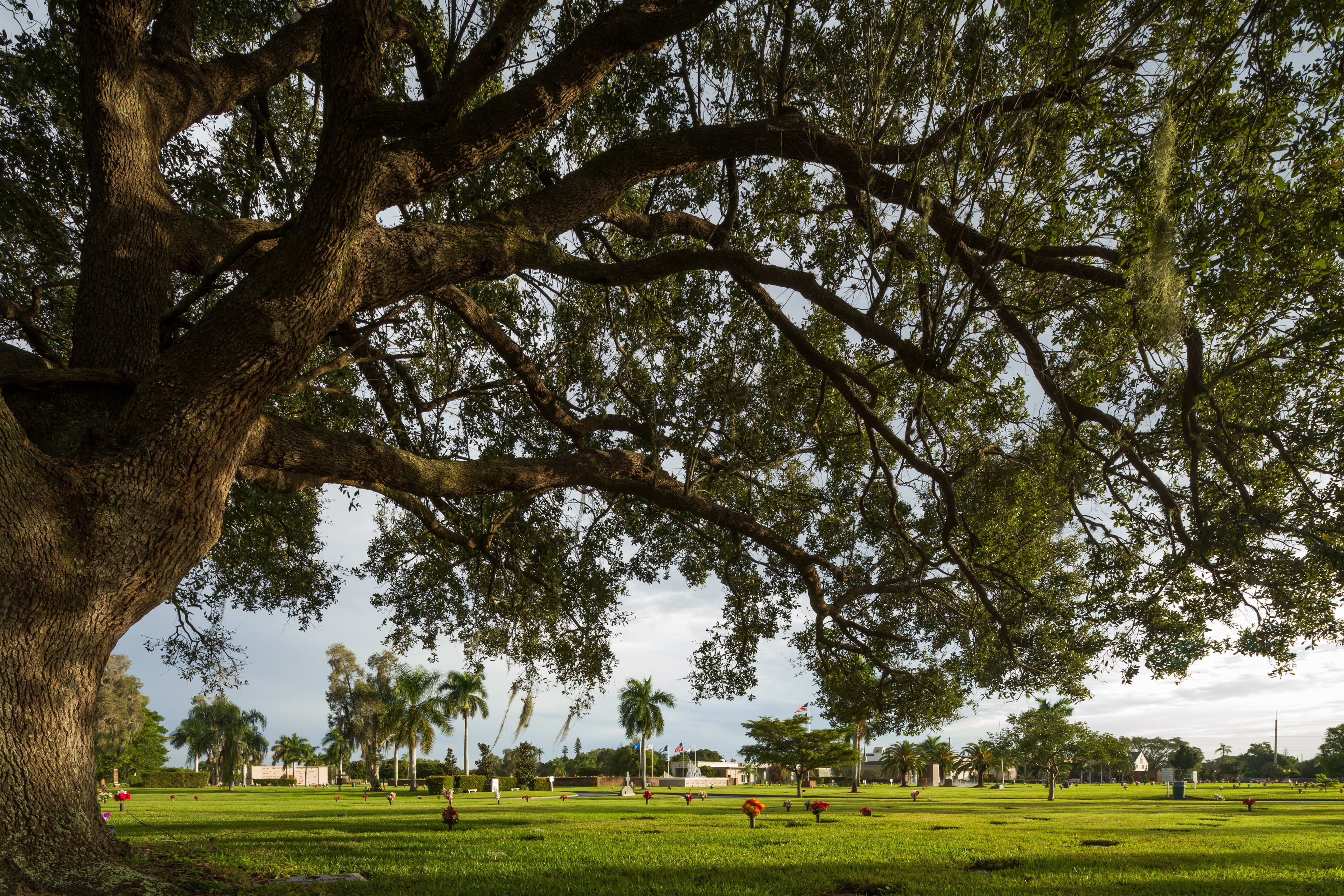 Fort Myers Memorial Gardens Funeral Home & Cemetery_4