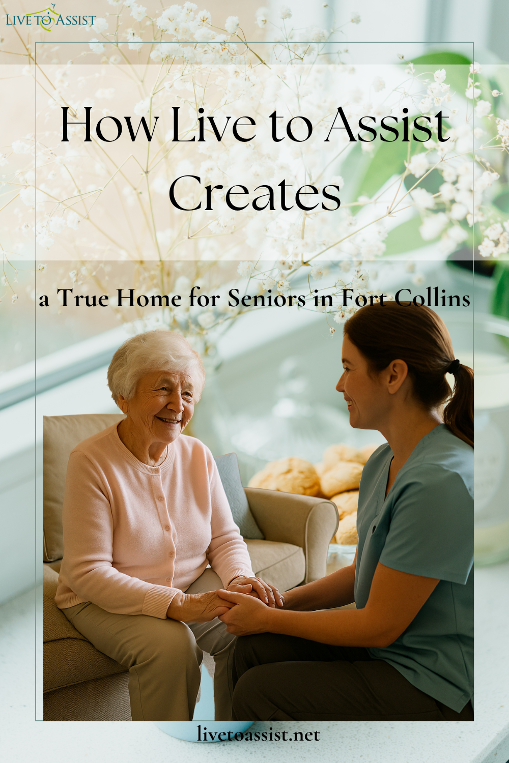 Where Compassion Meets Comfort: How Live to Assist Creates a True Home for Seniors in Fort Collins