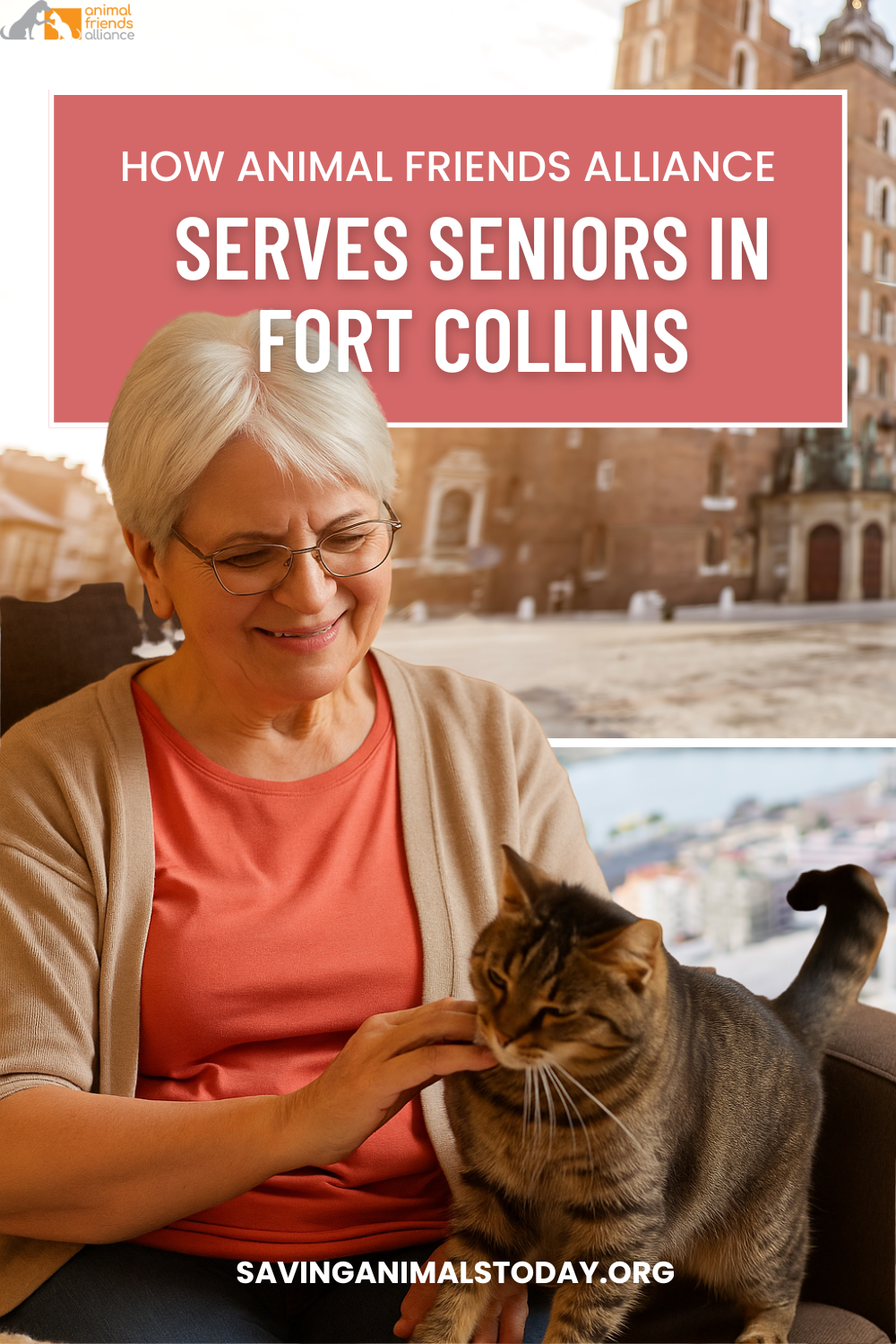 Caring for Pets, Supporting Families: How Animal Friends Alliance Serves Seniors in Fort Collins