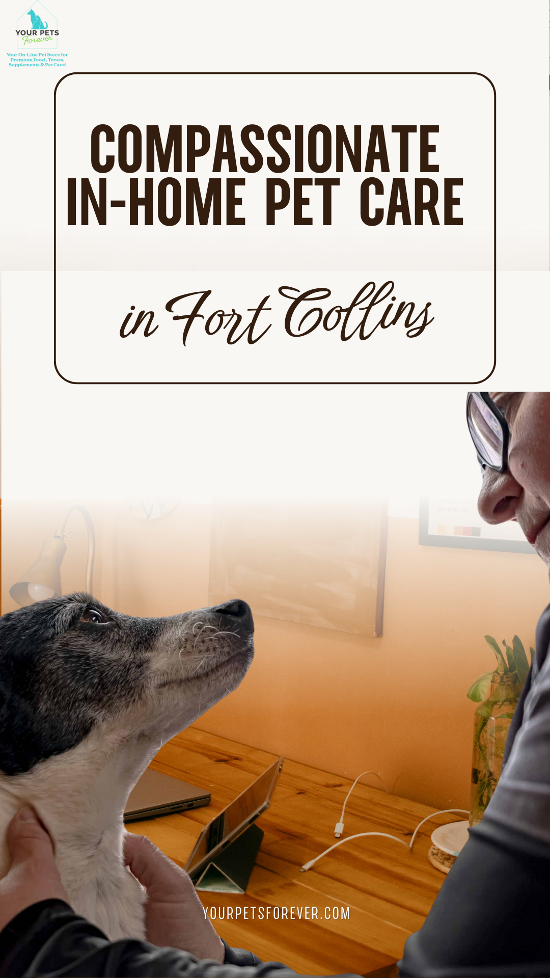 Compassionate In-Home Pet Care in Fort Collins