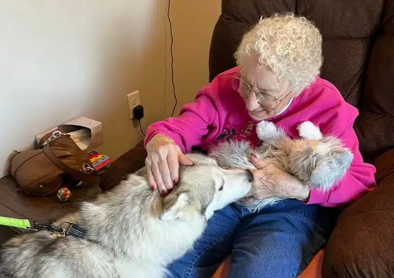 Pet-Friendly Senior Living Community in Merritt Island, FL Where Pets Are Family