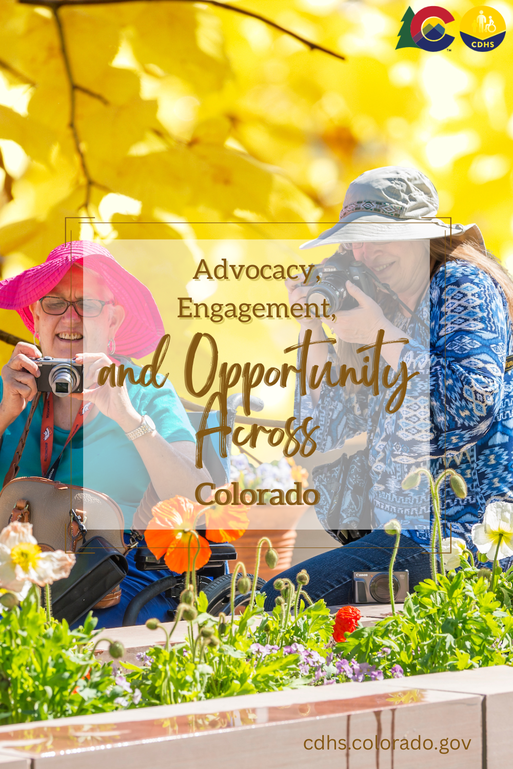 Advocacy, Engagement, and Opportunity Across Colorado