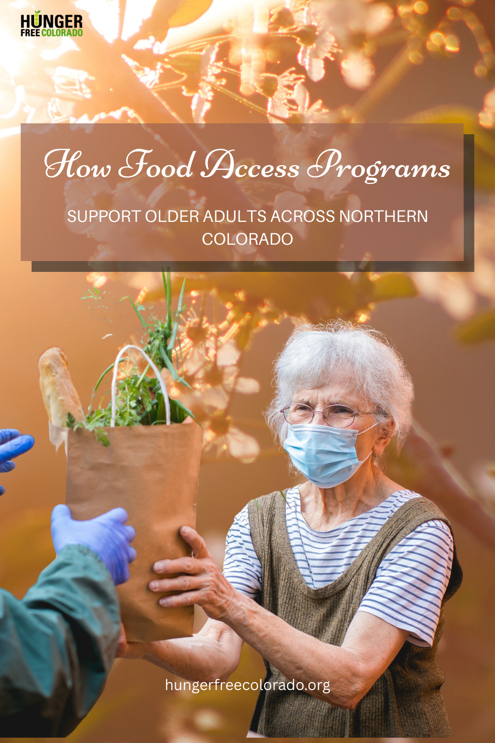 How Food Access Programs Support Older Adults Across Northern Colorado