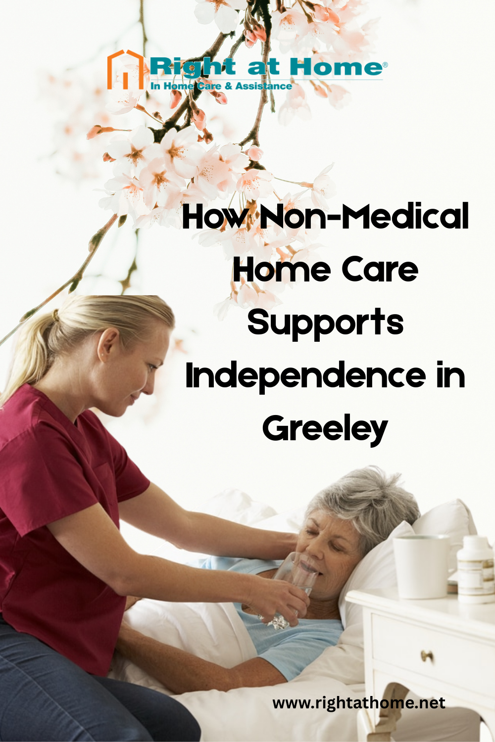 How Non-Medical Home Care Supports Independence in Greeley