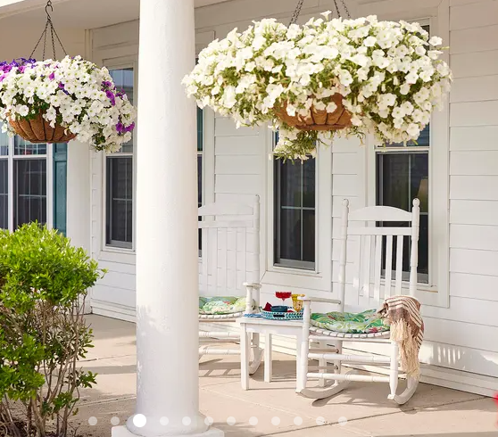 Brandywine Howell Memory Care_2