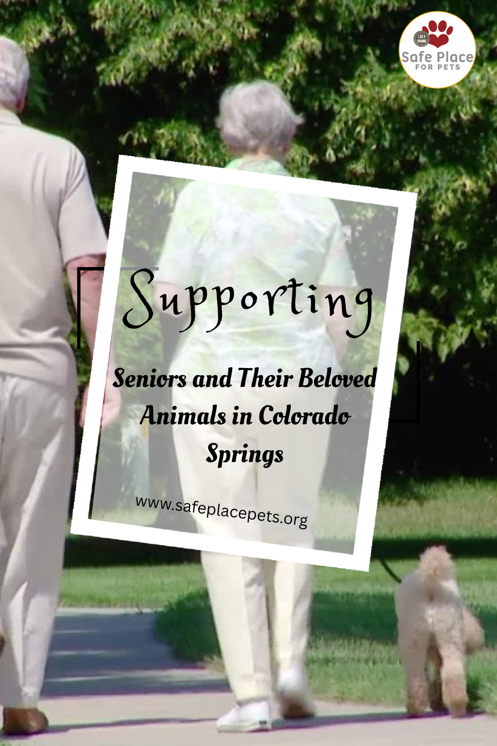 Supporting Seniors and Their Beloved Animals in Colorado Springs