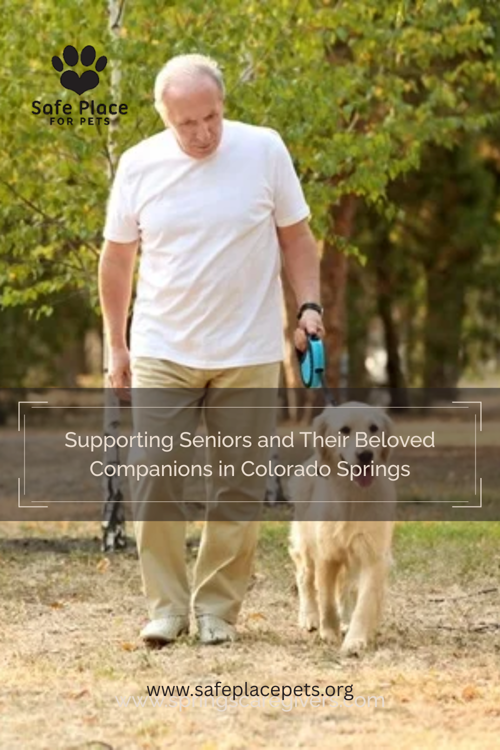 Supporting Seniors and Their Beloved Companions in Colorado Springs