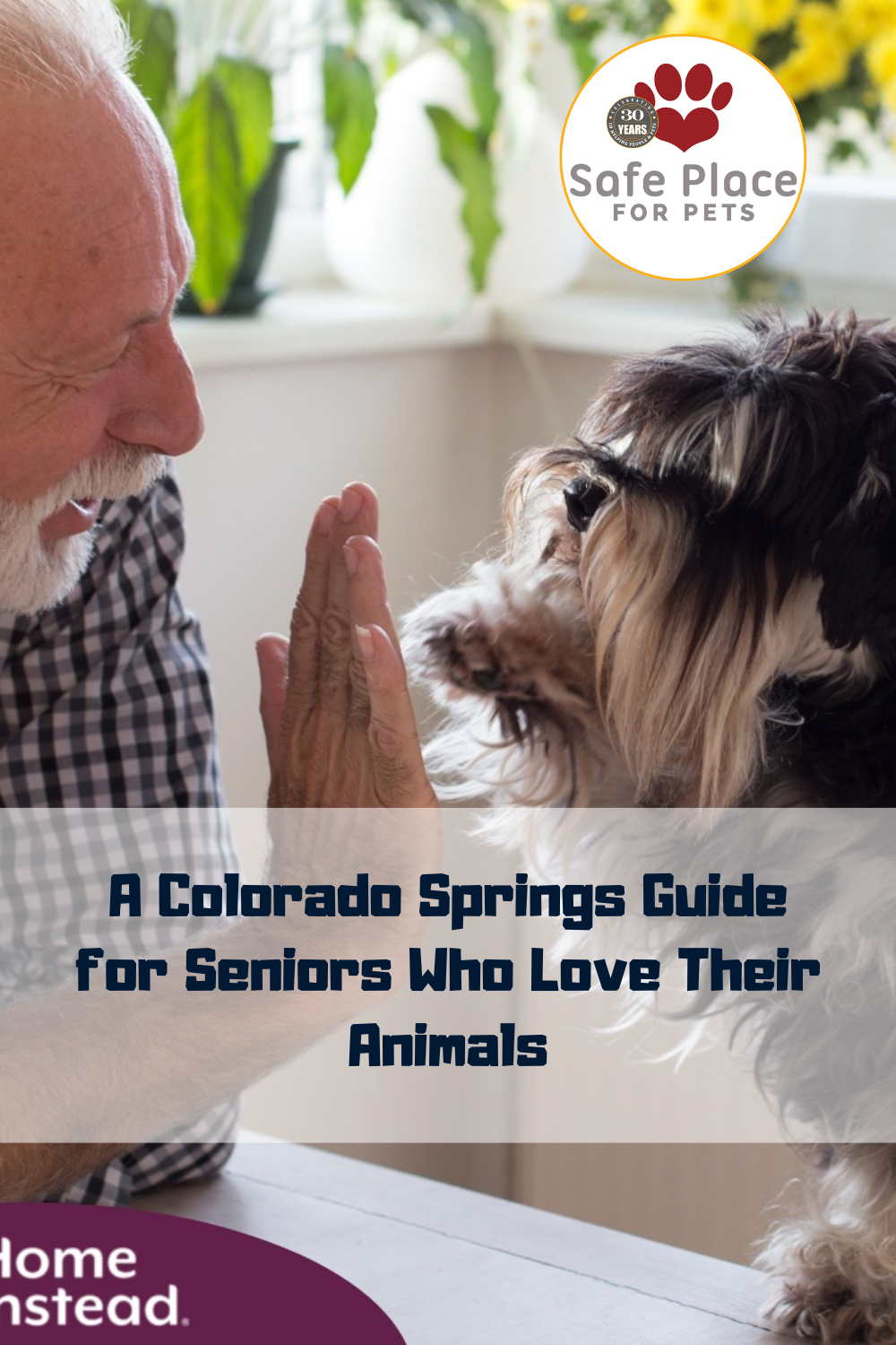 A Colorado Springs Guide for Seniors Who Love Their Animals