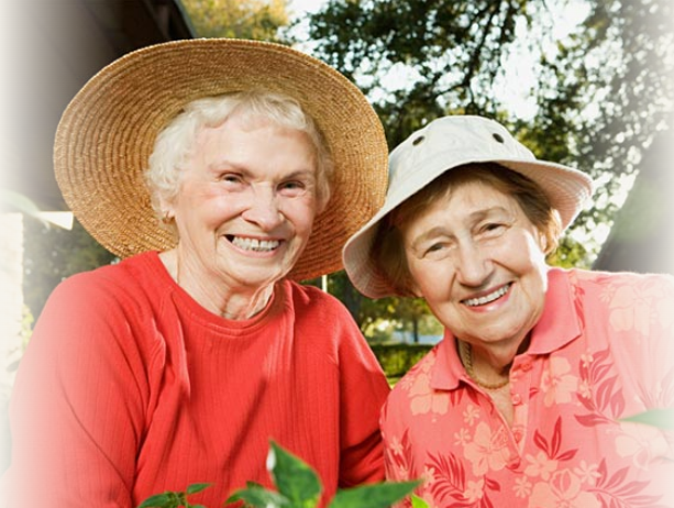 Seniors Helping Seniors - Mpls West_4
