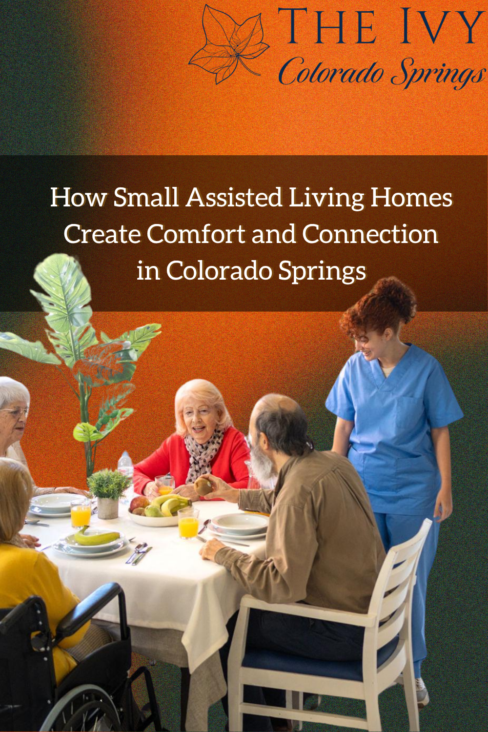 How Small Assisted Living Homes Create Comfort and Connection in Color