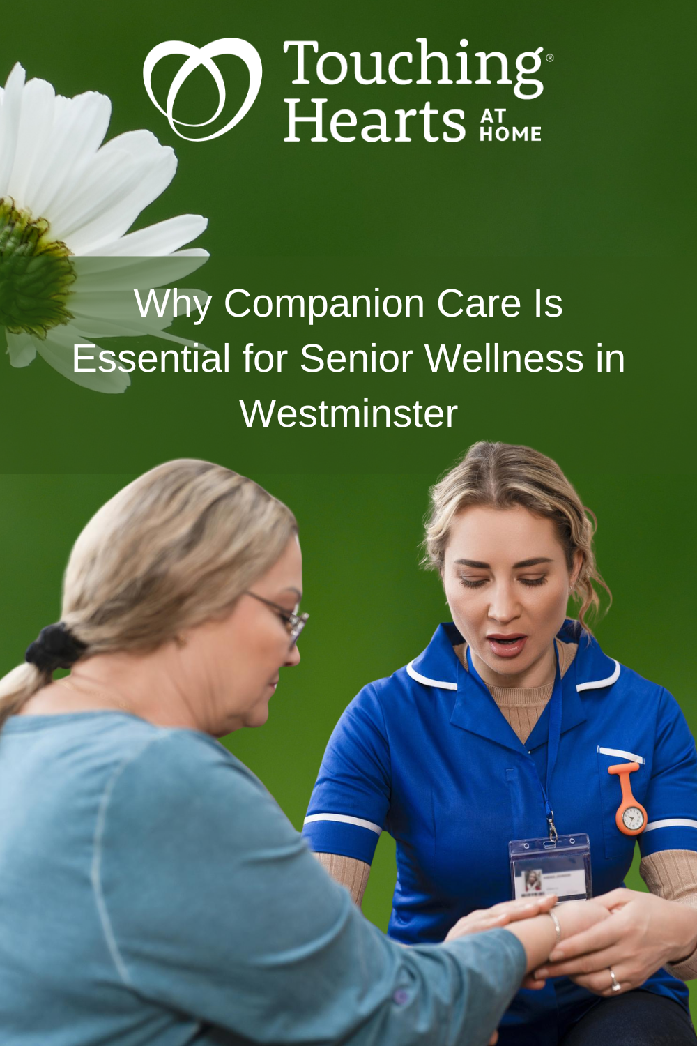 Why Companion Care Is Essential for Senior Wellness in Westminster