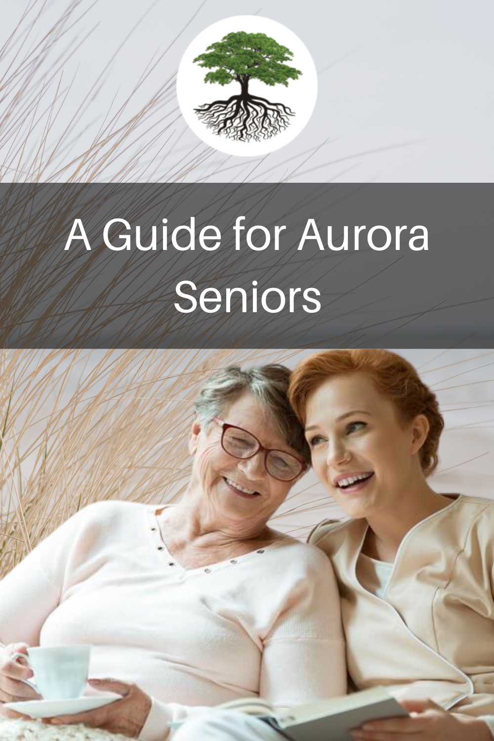 A Guide for Aurora Seniors