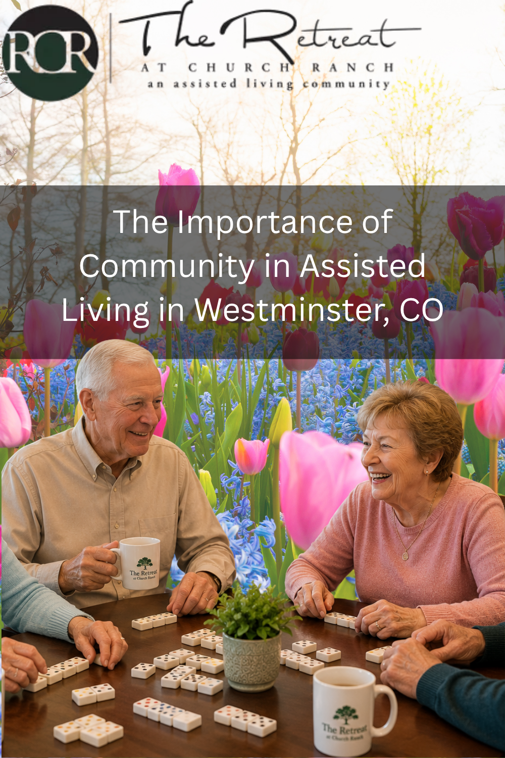 The Importance of Community in Assisted Living in Westminster, CO