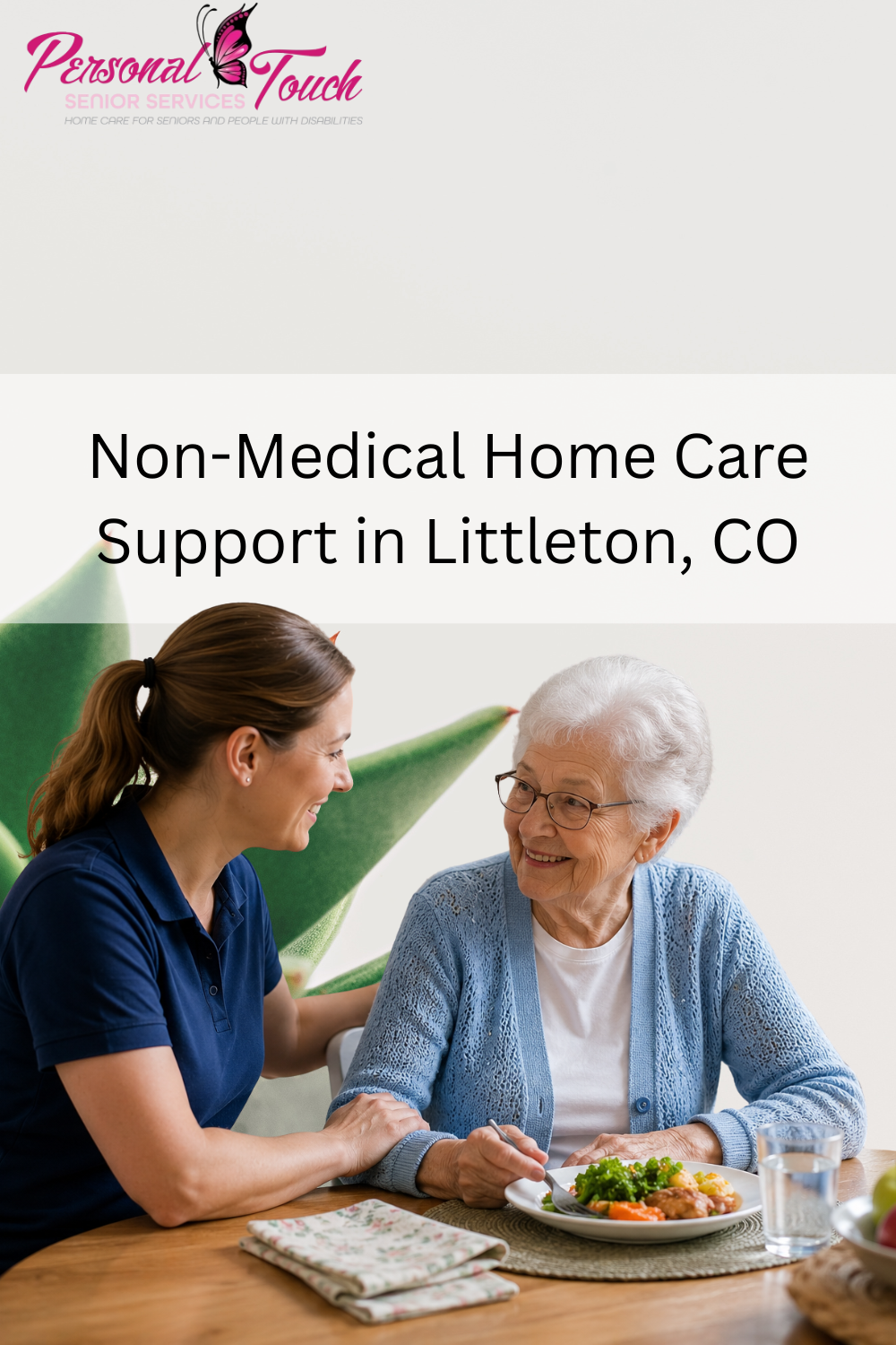 Non-Medical Home Care Support in Littleton, CO