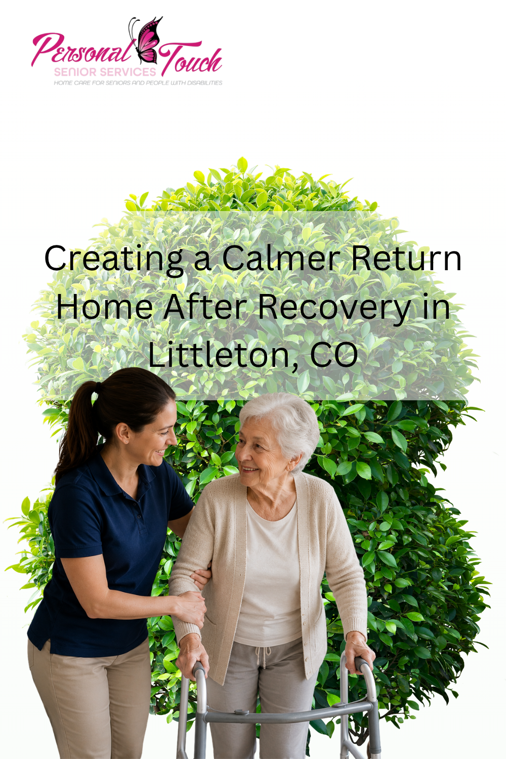 Creating a Calmer Return Home After Recovery in Littleton, CO