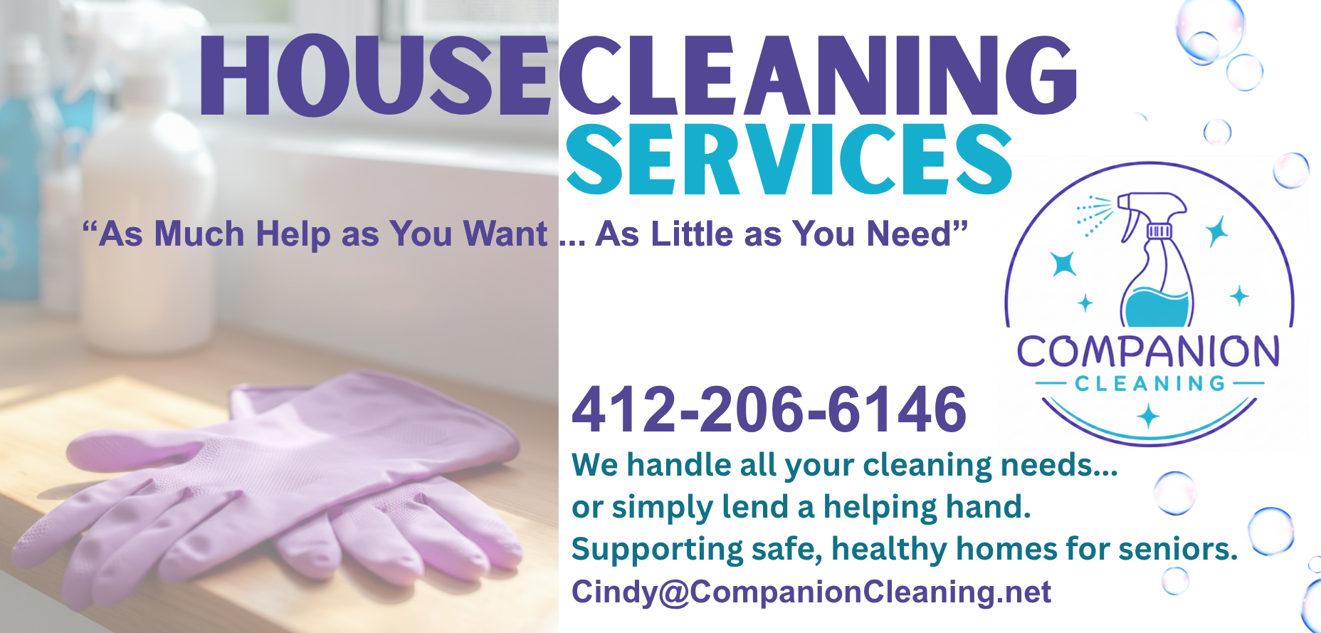 Companion Cleaning_7