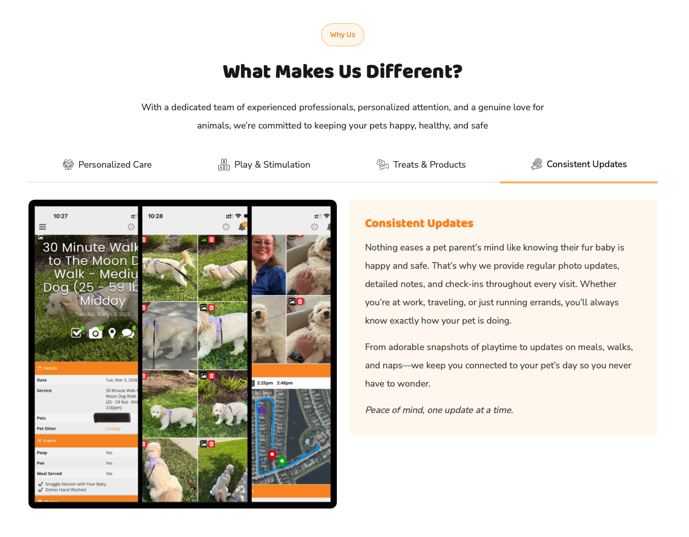Lindsay's Loving Pet Care Services_7