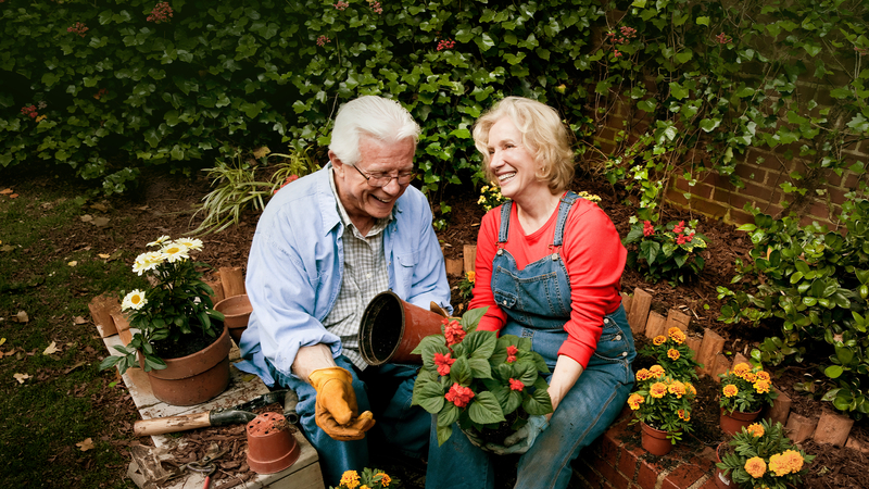 When to Consider Knee Replacement Surgery