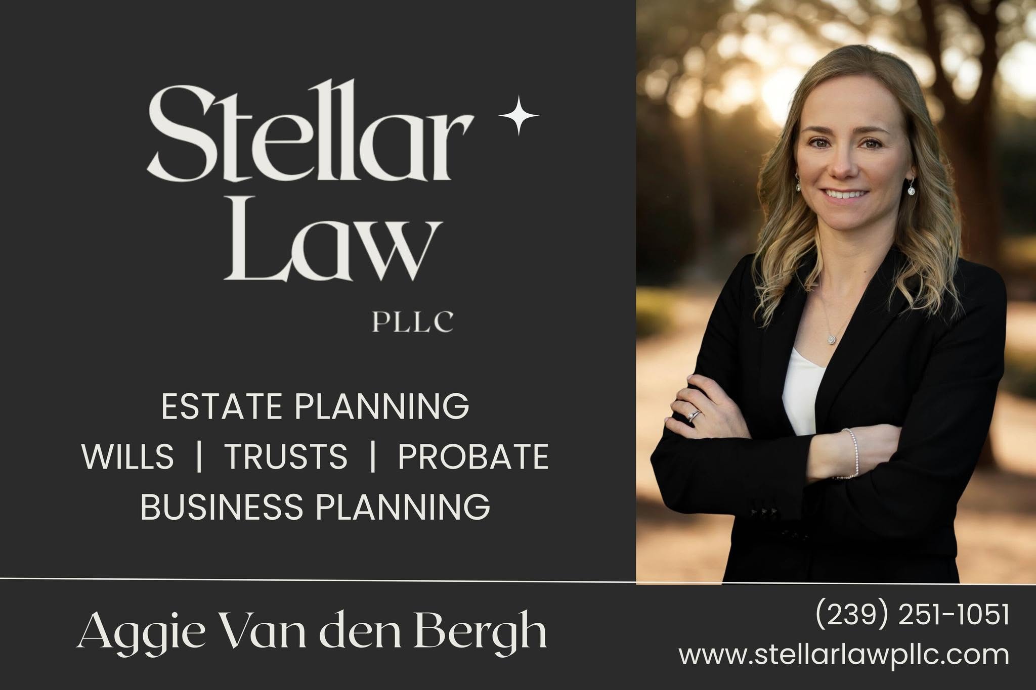 Stellar Law_0