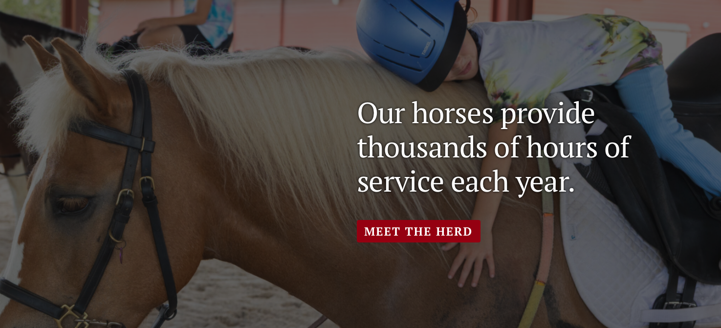 Naples Therapeutic Riding Center_2
