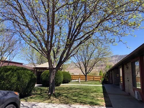 The Retreat at Palisade_0
