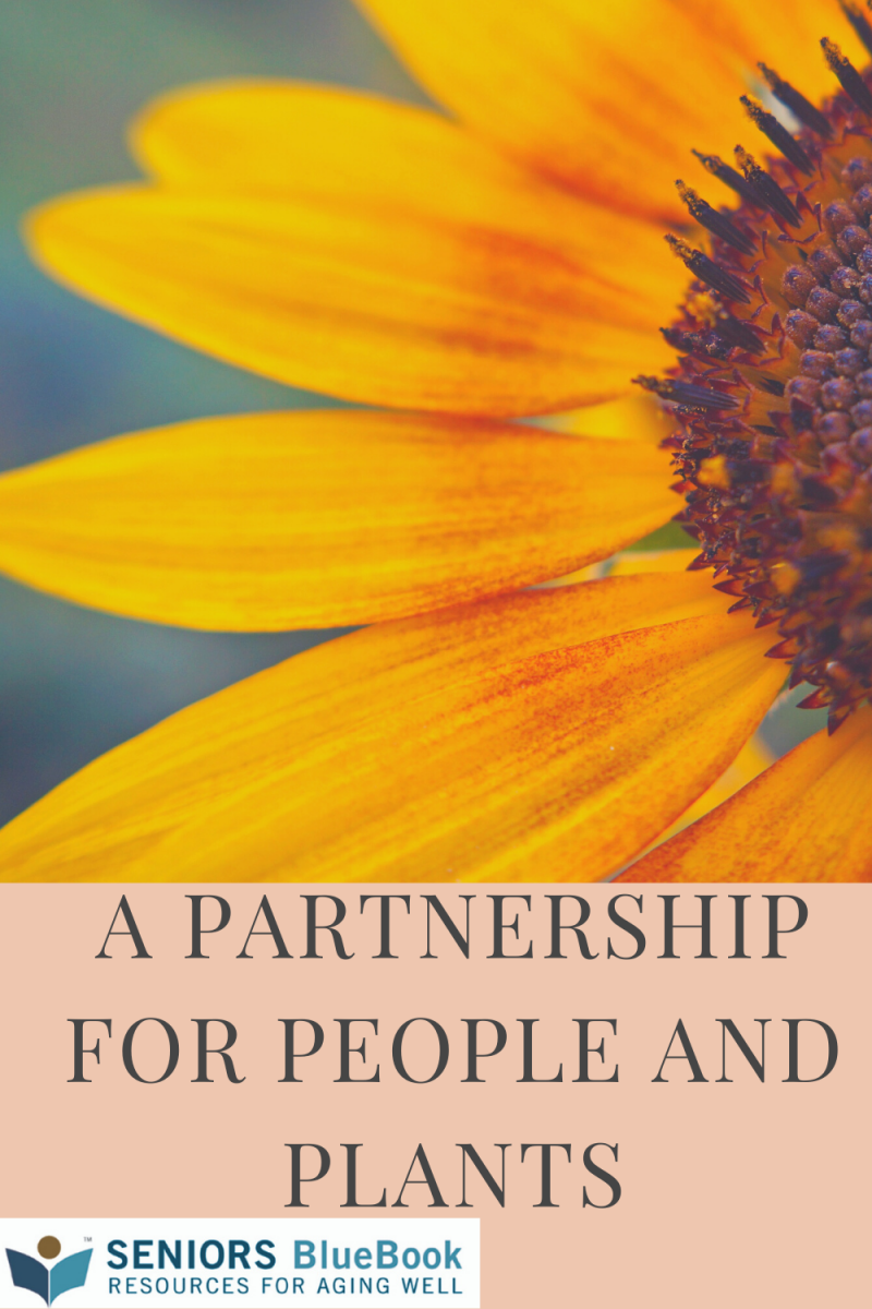 https://seniorsbluebook.com/listing/976317/a-partnership-for-people.png