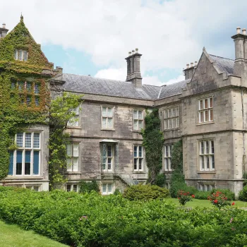 A $29 Million Estate, a Forgotten Will, and One Messy Legal Battle—Here ...